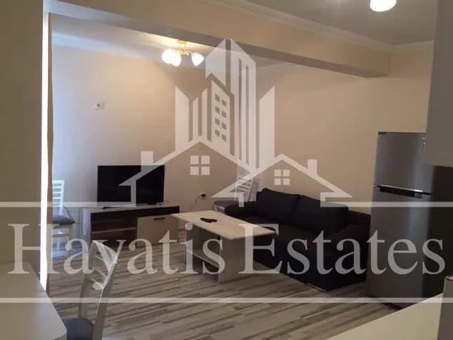 Двустаен обзаведен апартамент за продажба